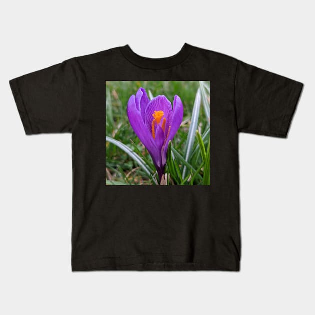 Purple and Orange Flower in Grass Kids T-Shirt by AustaArt